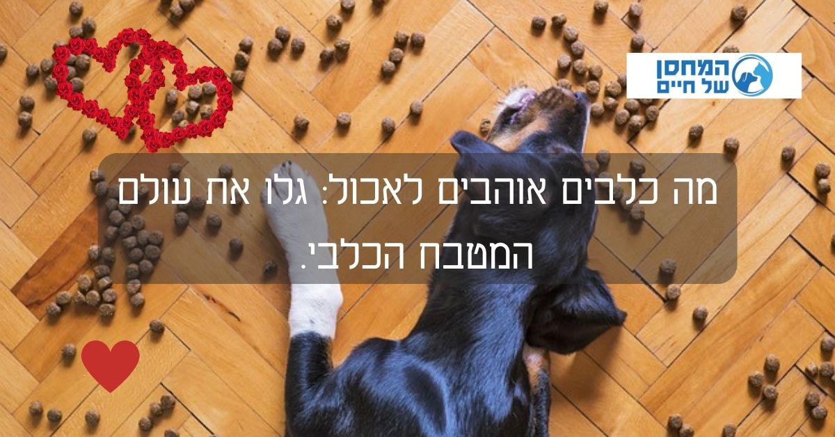 מה כלבים אוהבים לאכול​: גלו את עולם המטבח הכלבי.